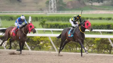 Ejemplar de la cuadra de Rafael Alemán Jr. reaparece luego de 140 días sin correr en La Rinconada Ejemplar de la cuadra de Rafael Alemán Jr. reaparece luego de 140 días sin correr en La Rinconada