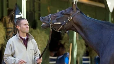 Dos potros que costaron millones inscribe Chad Brown en clasificatoria al Kentucky Derby