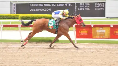 Riccardo D’Angelo reaparece corredora clásica que tiene 245 días sin competir en La Rinconada Riccardo D’Angelo reaparece corredora clásica que tiene 245 días sin competir en La Rinconada