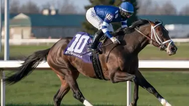 Más de $24.000.000 en jugada aumentó en 2024 este hipódromo de Estados Unidos Más de $24.000.000 en jugada aumentó en 2024 este hipódromo de Estados Unidos