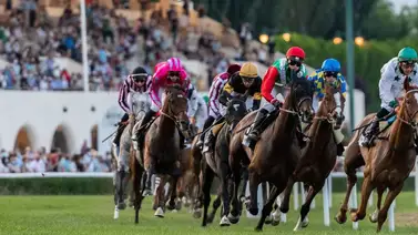 Jockey de 23 años muere después de una caída  Jockey de 23 años muere después de una caída