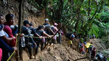 Panamá aplicará leyes contra los migrantes que crucen la selva del Darién