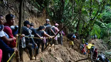 Panamá aplicará leyes contra los migrantes que crucen la selva del Darién Panamá aplicará leyes contra los migrantes que crucen la selva del Darién