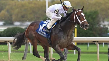 Uno de los grandes aspirantes al Kentucky Derby no participará en la carrera