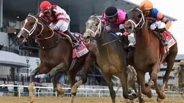 Estos son los 13 Potros que van este sábado en Nueva York por puntos al Kentucky Derby Estos son los 13 Potros que van este sábado en Nueva York por puntos al Kentucky Derby