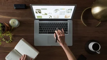 EEUU | 3 ideas de negocios rentables para emprendedores en este 2024