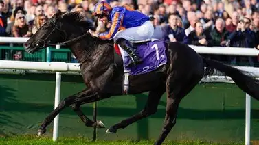 El mejor jinete del mundo llega último en la Dubai Sheema Classic (G1) y luego declara esto El mejor jinete del mundo llega último en la Dubai Sheema Classic (G1) y luego declara esto