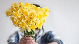 El encanto y significado de las Flores Amarillas