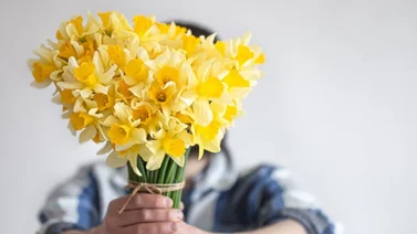 El encanto y significado de las Flores Amarillas