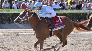 Aquí el Best Bet y los Tips para Gulfstream Park 04-04-2024