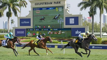 Así quedaron los resultados de las carreras Gulfstream Park 04-04-2024