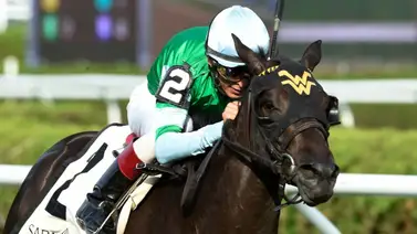 Leyenda boricua se acerca al liderato en victorias de Grado 1 en Estados Unidos Leyenda boricua se acerca al liderato en victorias de Grado 1 en Estados Unidos