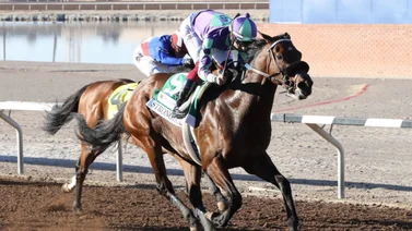El Derby de Santa Anita: Un trampolín hacia la grandeza