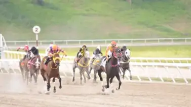 Así ajustó este pupilo de José Gregorio Rodríguez de cara a su debut en el 5y6 Así ajustó este pupilo de José Gregorio Rodríguez de cara a su debut en el 5y6