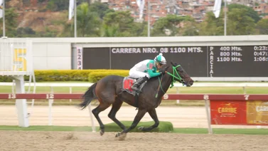 Este pupilo de Germán Rojas ajusta veloz para su prueba en La Rinconada