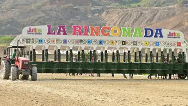 Aquí están los favoritos de la cátedra para el 5 y 6 Nacional de la Reunión 12 en La Rinconada Aquí están los favoritos de la cátedra para el 5 y 6 Nacional de la Reunión 12 en La Rinconada