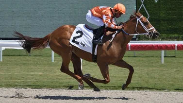 Así quedaron los resultados de las carreras Gulfstream Park 05-04-2024