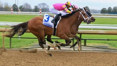 Aquí el Best Bet y los Tips para Keeneland 06-04-2024