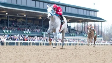 Jockey latino gana el primer stakes de 2024 en Keeneland