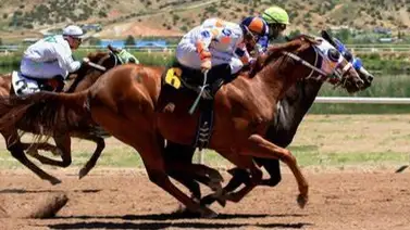 Así quedaron los resultados de las carreras en Valencia 06-04-2024 Así quedaron los resultados de las carreras en Valencia 06-04-2024
