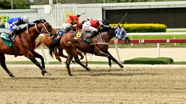 Datos de Última Hora para el Hipódromo La Rinconada 07-04-2024