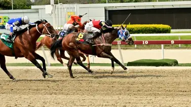 Datos de Última Hora para el Hipódromo La Rinconada 07-04-2024 Datos de Última Hora para el Hipódromo La Rinconada 07-04-2024