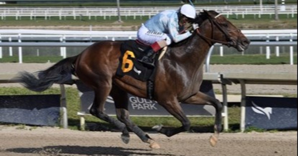 Gloria de Puerto Rico se anota al Kentucky Derby luego de gran victoria