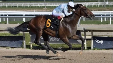 Gloria de Puerto Rico se anota al Kentucky Derby luego de gran victoria en el Wood Memorial (G1)