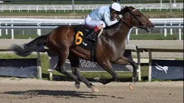 Gloria de Puerto Rico se anota al Kentucky Derby luego de gran victoria en el Wood Memorial (G1) Gloria de Puerto Rico se anota al Kentucky Derby luego de gran victoria en el Wood Memorial (G1)