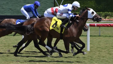 Jockey venezolano triplica y llega a gran cifra redonda de triunfos en Estados Unidos