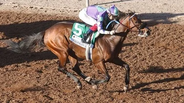 Stronghold se gana el cupo a las rosas al triunfar en gran final en el Santa Anita Derby (G1)