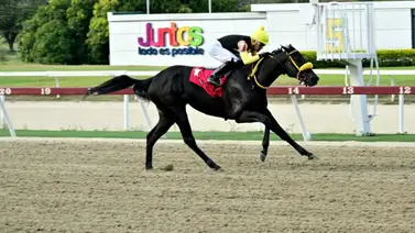 Nuevo Monto Récord alcanzó el 5 y 6 Nacional este domingo en La Rinconada!! Nuevo Monto Récord alcanzó el 5 y 6 Nacional este domingo en La Rinconada!!