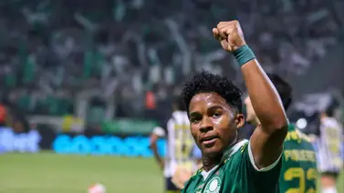 ¿Cuántos títulos ha ganado Endrick en su carrera? ¿Cuántos títulos ha ganado Endrick en su carrera?