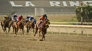 Este es el tiempo que tenía David Regalado sin ganar en La Rinconada Este es el tiempo que tenía David Regalado sin ganar en La Rinconada