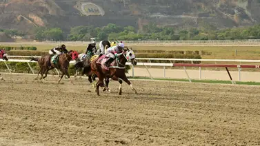 Por este motivo no montó Leomar Sangronis ayer en La Rinconada Por este motivo no montó Leomar Sangronis ayer en La Rinconada