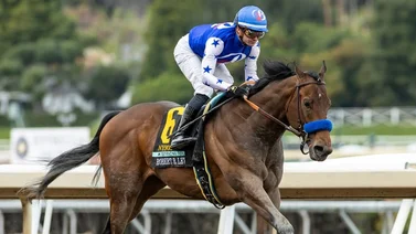Bob Baffert anuncia que Nysos "no estará listo" para este gran Stakes
