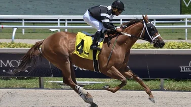 Jockey latino gana 10 la primera semana y se desprende en este hipódromo de Estados Unidos