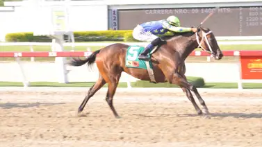 Duelo de campeonas en el Clásico Peggy Azqueta el domingo en La Rinconada Duelo de campeonas en el Clásico Peggy Azqueta el domingo en La Rinconada