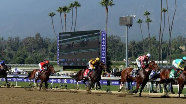 Conoce los campeones del Classic Meet en Santa Anita Park