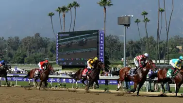 Conoce los campeones del Classic Meet en Santa Anita Park Conoce los campeones del Classic Meet en Santa Anita Park
