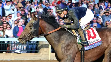 Así queda el ranking de clasificados al Kentucky Derby 2024 Así queda el ranking de clasificados al Kentucky Derby 2024