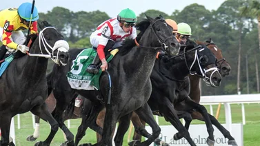 Irad Ortiz Jr. ya tiene monta para el Kentucky Derby (G1) de 2024