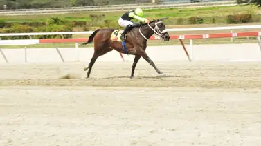 Conoce al primer hijo de la triplecoronada Sandovalera Conoce al primer hijo de la triplecoronada Sandovalera