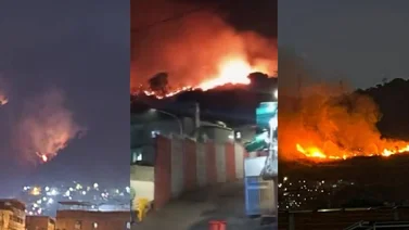 Esta es la cantidad de detenidos, por los incendios forestales, en Caracas (+Video)
