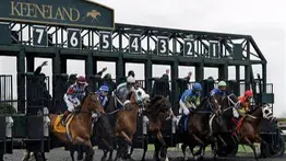 Aquí los 10 potros que deciden en la última clasificatoria al Kentucky Derby este sábado