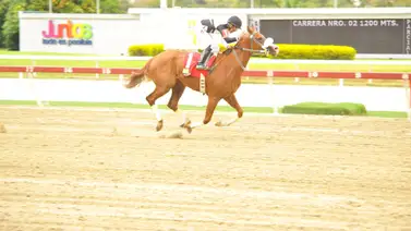 Yegua invicta en el 2024 reaparece en La Rinconada tras 63 días sin correr Yegua invicta en el 2024 reaparece en La Rinconada tras 63 días sin correr