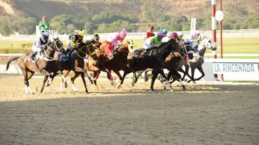 Rubén Lanz retorna a la pista ejemplar que puede sorprender en el inicio de la Triple Apuesta del domingo Rubén Lanz retorna a la pista ejemplar que puede sorprender en el inicio de la Triple Apuesta del domingo