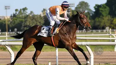 Yegua campeona latinoamericana es la nueva adquisición de Resolute Racing Yegua campeona latinoamericana es la nueva adquisición de Resolute Racing