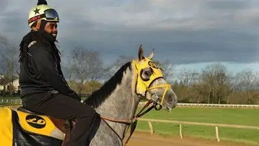 Habla el entrenador del caballo más barato que correrá el Kentucky Derby 2024 Habla el entrenador del caballo más barato que correrá el Kentucky Derby 2024