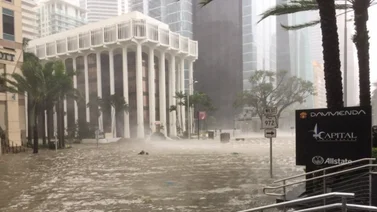 ¿Qué ciudades de Florida quedarían bajo el agua?